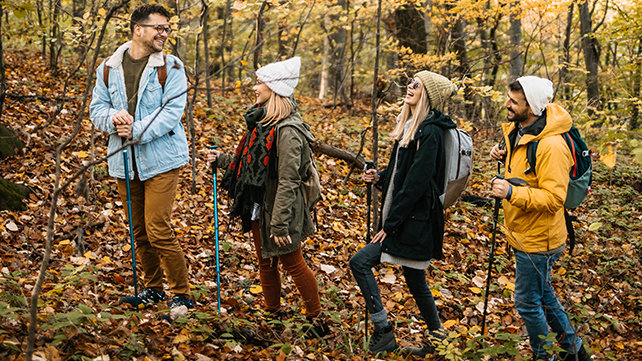 A group of adults hiking in the woods.